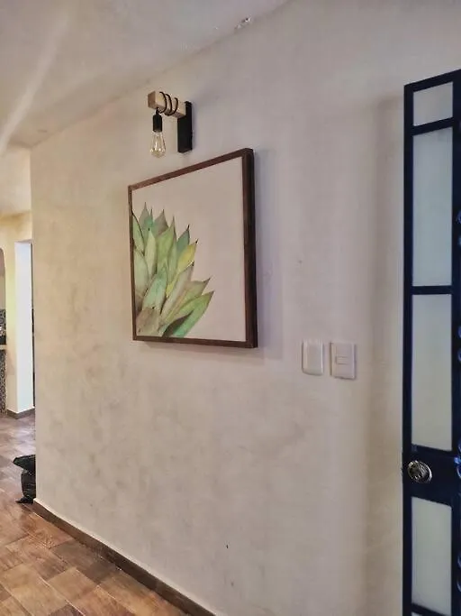 Casa Blu, En El Corazon De Merida Mexico